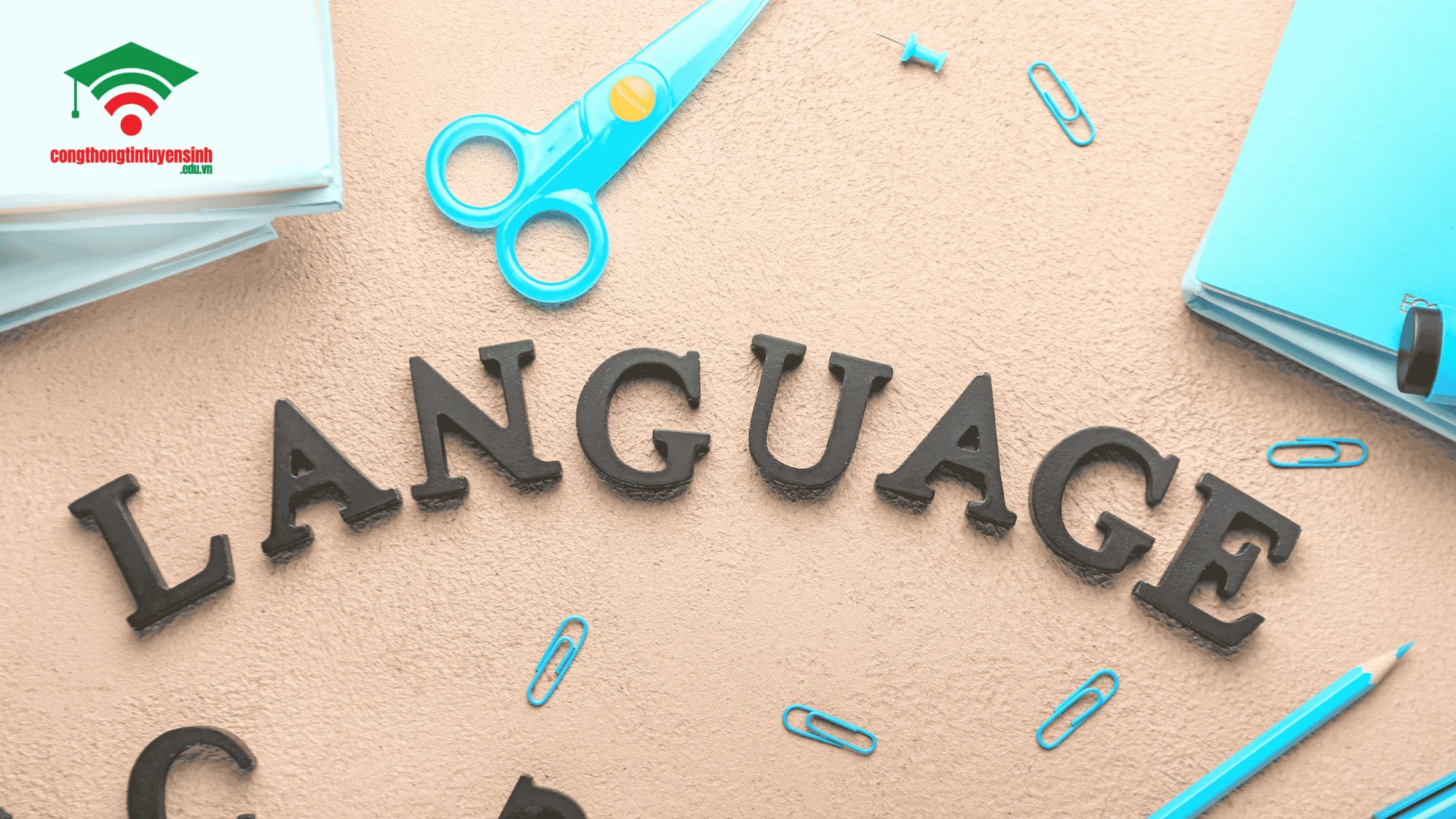 Câu hỏi thường gặp (FAQ) về lương giáo viên dạy tiếng Trung