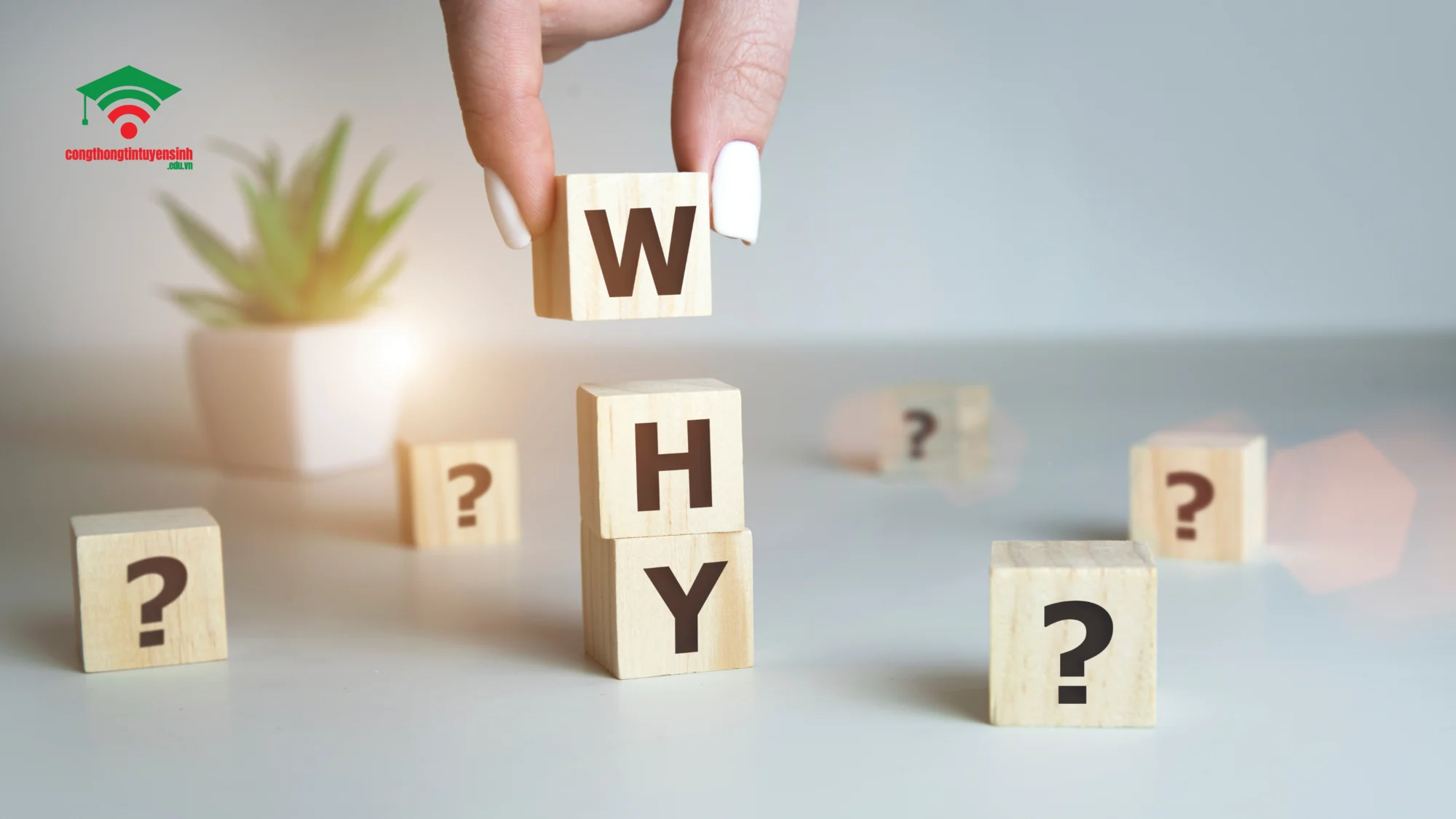 Tại sao lại học ngôn ngữ anh?