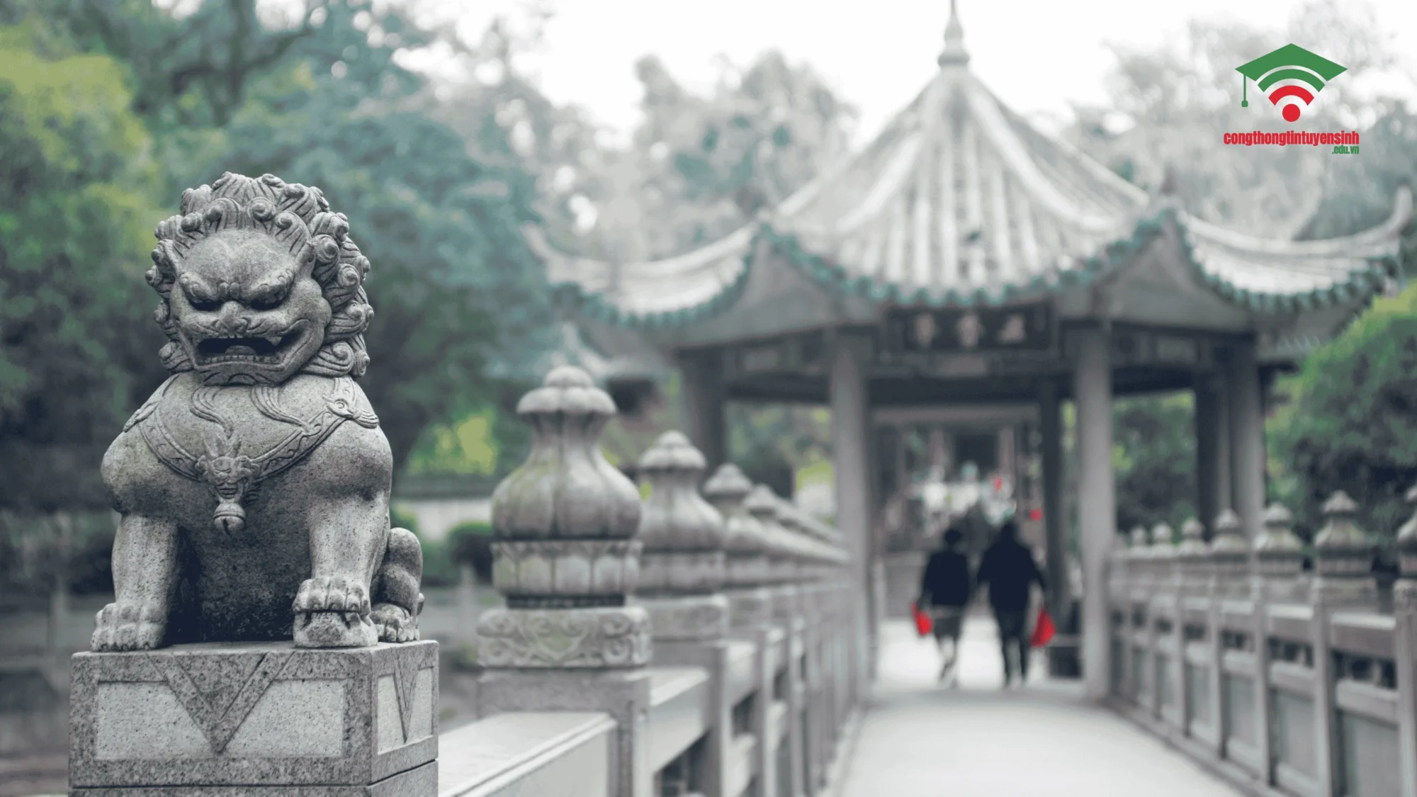 Tiếng Quảng Đông – Ngôn ngữ được sử dụng rộng rãi tại Hong Kong & Macau