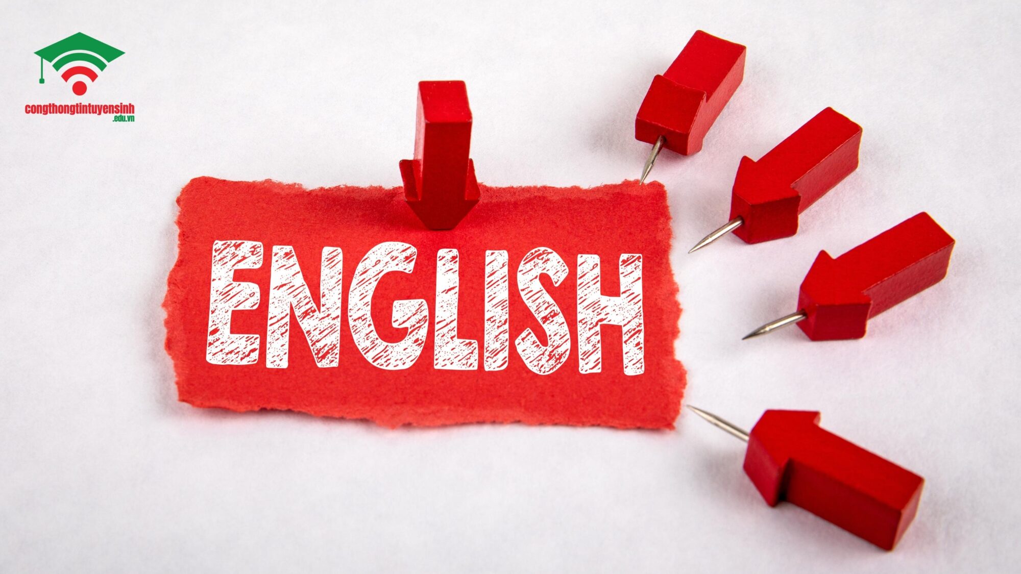 Văn bằng 2 ngôn ngữ Anh là gì và tại sao nên học?