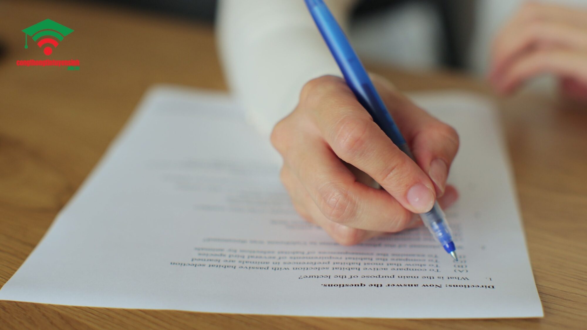 Nên học IELTS hay Văn bằng 2 Ngôn ngữ Anh