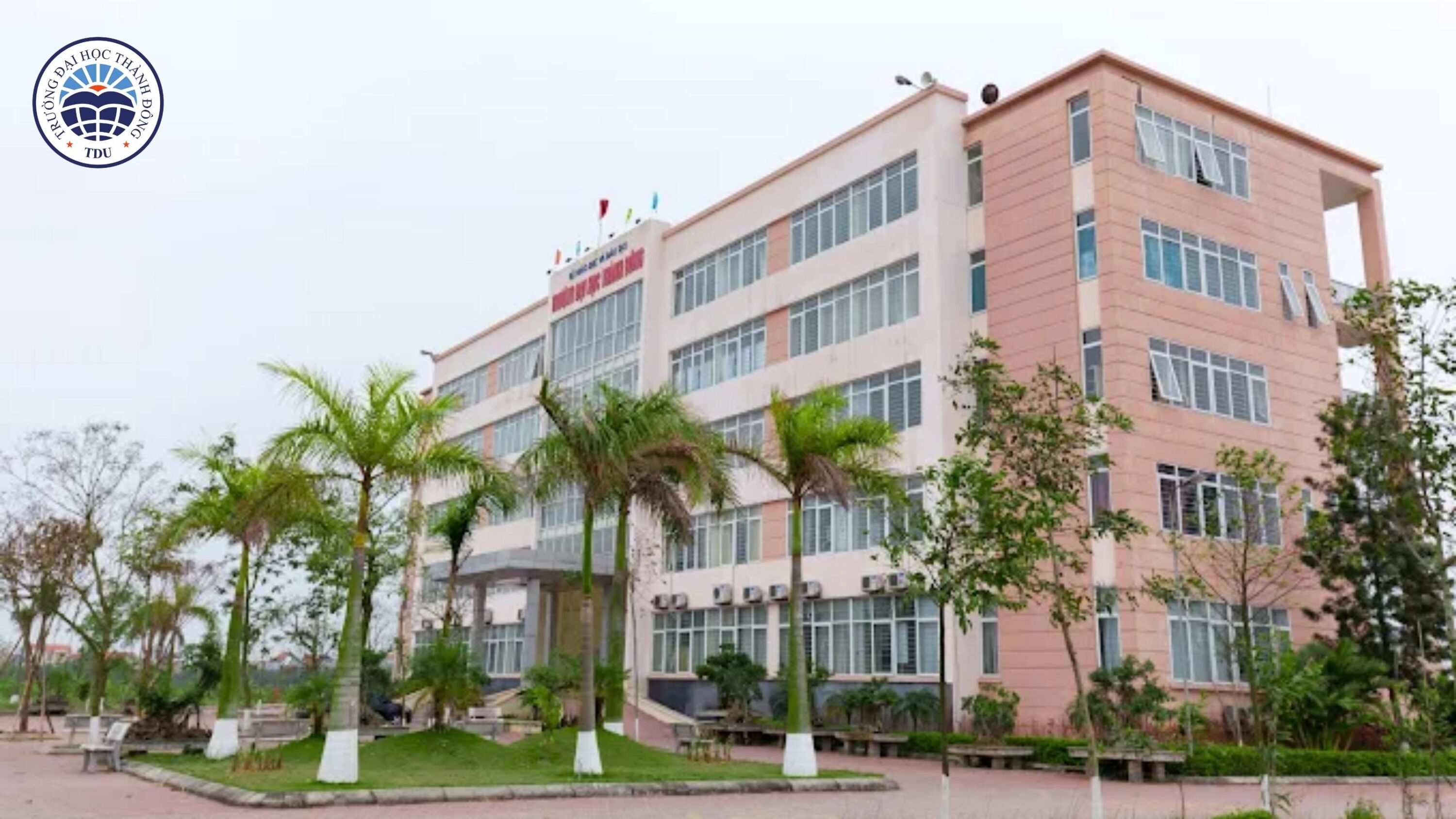 Chương trình đào tạo thực chiến tại Đại học Thành Đông