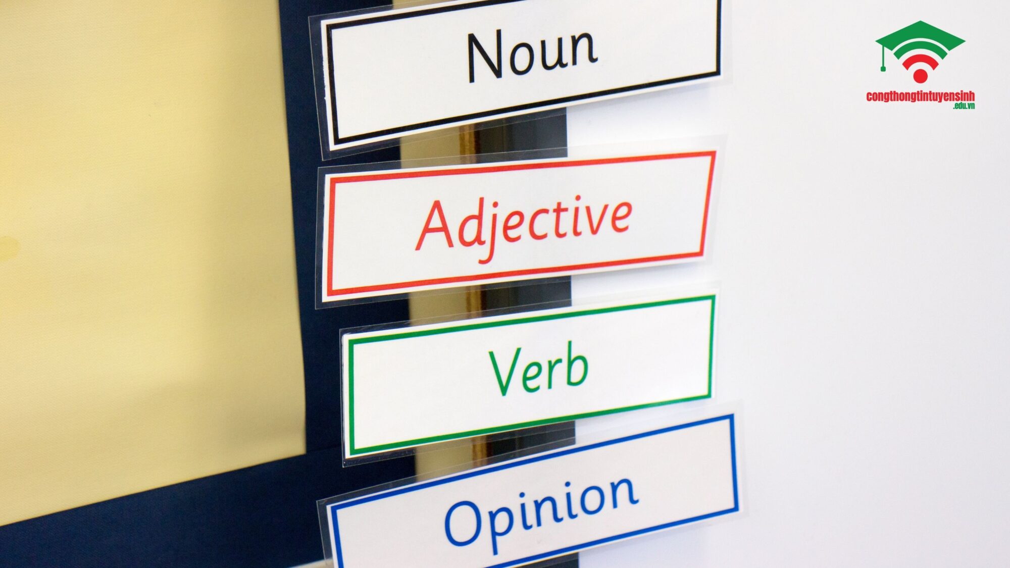 Nên học văn bằng 2 ngôn ngữ Anh hay thi chứng chỉ quốc tế